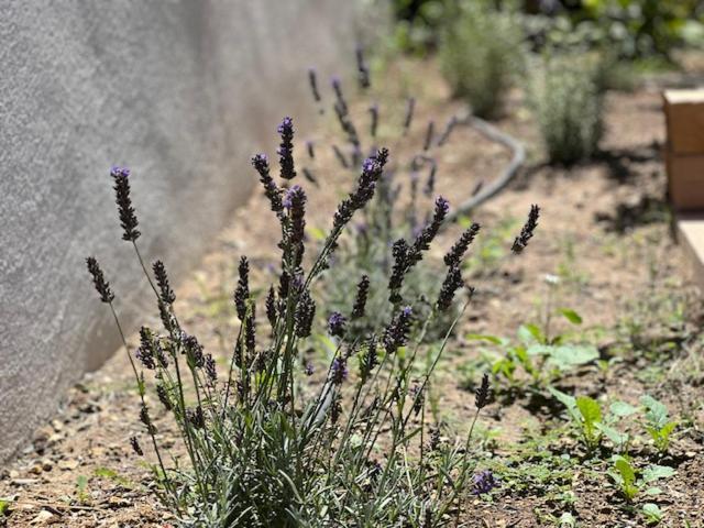 Une Nuit En Luberon Puyvert Εξωτερικό φωτογραφία